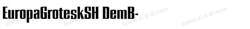 EuropaGroteskSH DemB字体转换